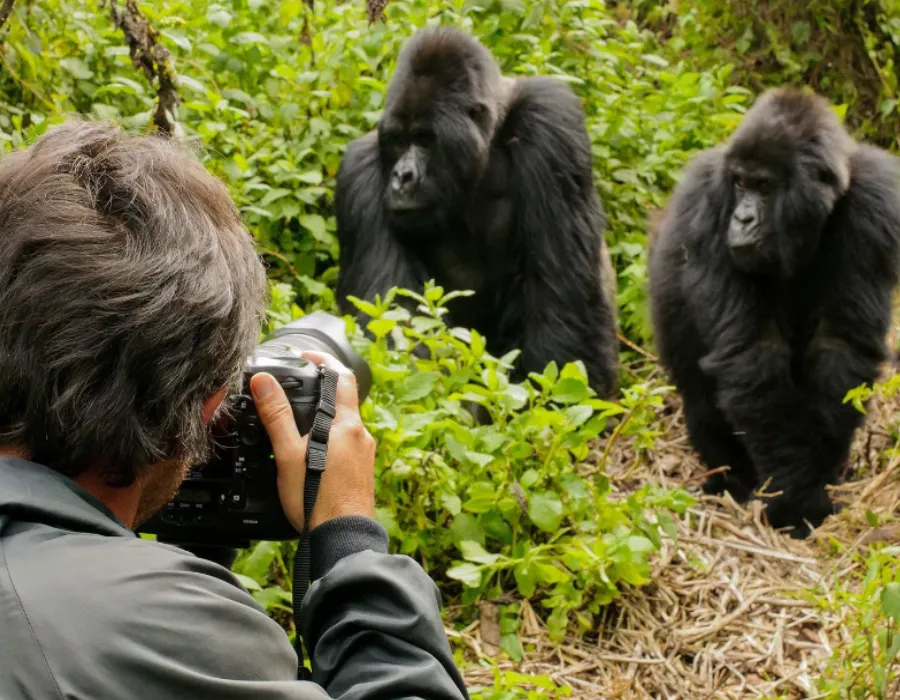 Conservation and wildlife tours