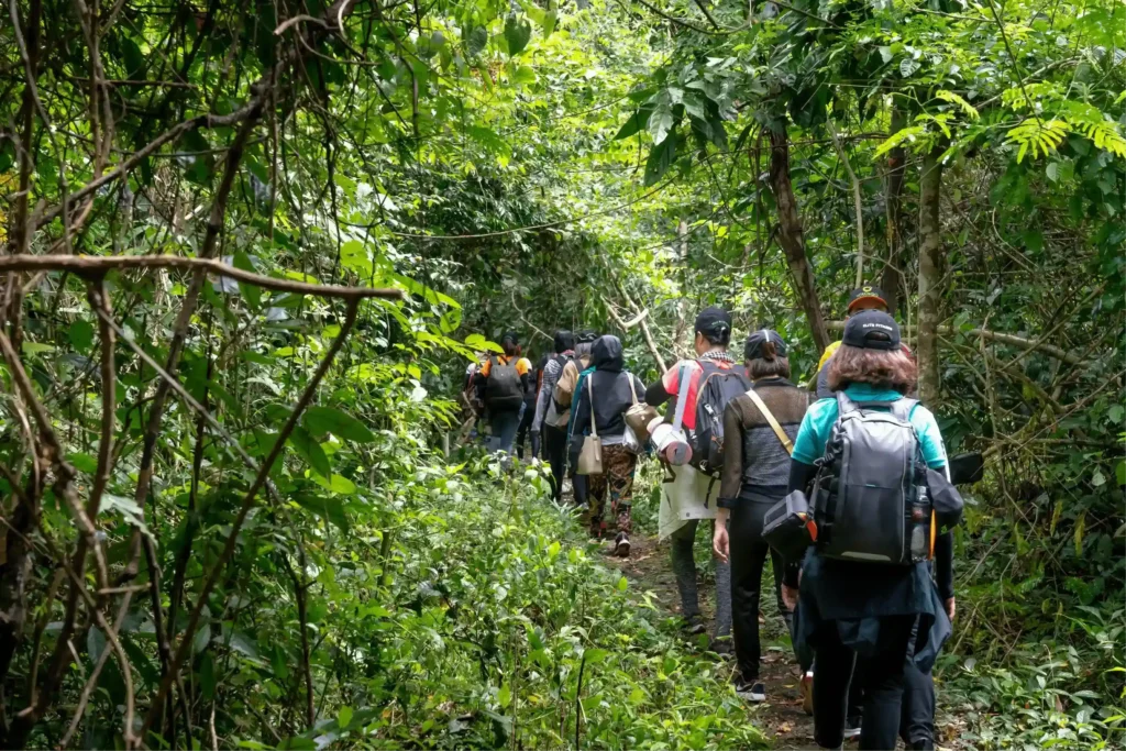 tourist way to see the wildlife